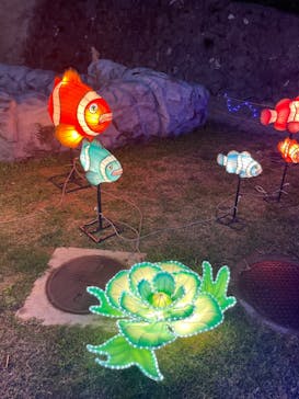 クリスマスファンタジー実行委員会に投稿された画像（2021/12/26）