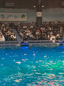 マクセル アクアパーク品川に投稿された画像（2021/12/26）