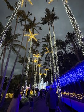 美らヤシパークオキナワ・東南植物楽園に投稿された画像（2021/12/26）