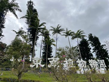 美らヤシパークオキナワ・東南植物楽園に投稿された画像（2021/12/26）