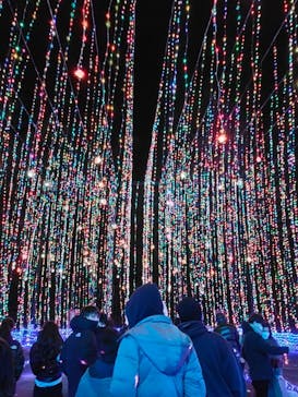 さがみ湖MORI MORIに投稿された画像（2021/12/26）