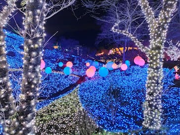 さがみ湖MORI MORIに投稿された画像（2021/12/26）