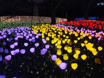 さがみ湖MORI MORIに投稿された画像（2021/12/26）