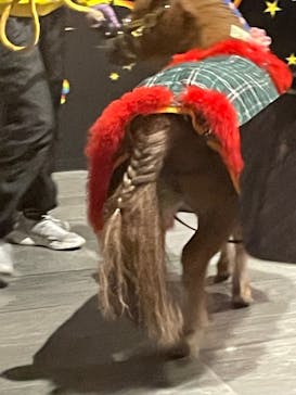 東京メガイルミに投稿された画像（2021/12/26）