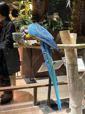 Moff animal world MARK IS みなとみらい店に投稿された画像（2021/12/26）