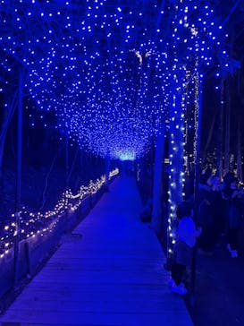 美らヤシパークオキナワ・東南植物楽園に投稿された画像（2021/12/26）