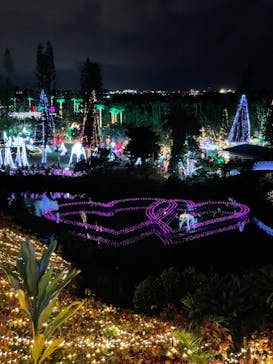 美らヤシパークオキナワ・東南植物楽園に投稿された画像（2021/12/26）