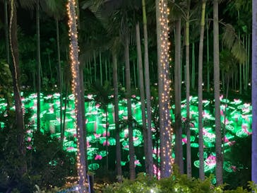 美らヤシパークオキナワ・東南植物楽園に投稿された画像（2021/12/26）