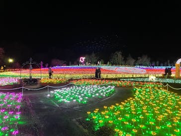 東武動物公園に投稿された画像（2021/12/26）