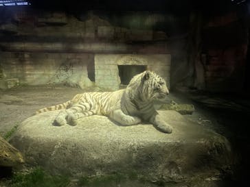 東武動物公園に投稿された画像（2021/12/26）