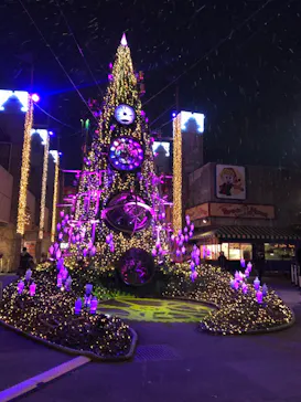 ひらかたパークに投稿された画像（2021/12/26）