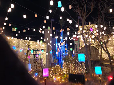 ひらかたパークに投稿された画像（2021/12/26）