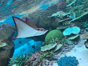 名古屋港水族館に投稿された画像（2021/12/26）