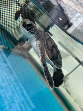 名古屋港水族館に投稿された画像（2021/12/26）