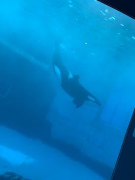 名古屋港水族館に投稿された画像（2021/12/26）