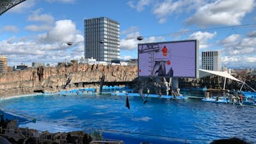 名古屋港水族館に投稿された画像（2021/12/26）