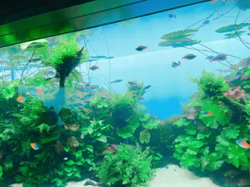 すみだ水族館に投稿された画像（2021/12/26）