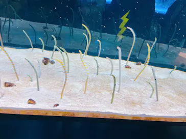 すみだ水族館に投稿された画像（2021/12/26）