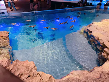 すみだ水族館に投稿された画像（2021/12/26）