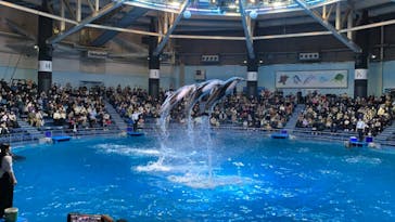 マクセル アクアパーク品川に投稿された画像（2021/12/26）