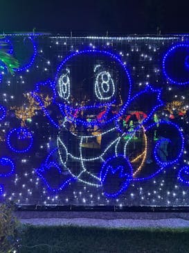 美らヤシパークオキナワ・東南植物楽園に投稿された画像（2021/12/26）