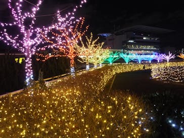 東京メガイルミに投稿された画像（2021/12/26）