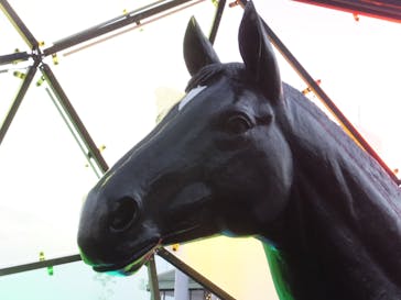 東京メガイルミに投稿された画像（2021/12/26）