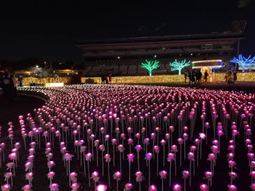 東京メガイルミに投稿された画像（2021/12/26）
