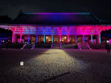 NAKED ヨルモウデ 平安神宮に投稿された画像（2021/12/26）