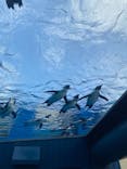 サンシャイン水族館に投稿された画像（2021/12/27）