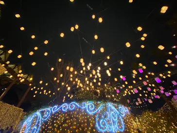 ひらかたパークに投稿された画像（2021/12/26）