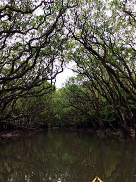 マングローブ茶屋に投稿された画像（2021/12/26）