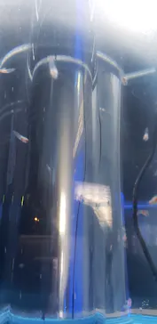 横浜・八景島シーパラダイスに投稿された画像（2021/12/26）