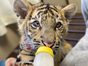 しろとり動物園に投稿された画像（2021/12/26）