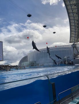 名古屋港水族館に投稿された画像（2021/12/26）