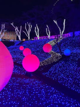 さがみ湖MORI MORIに投稿された画像（2021/12/27）