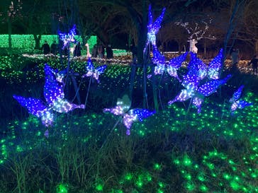 さがみ湖MORI MORIに投稿された画像（2021/12/27）