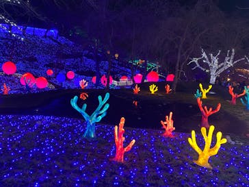 さがみ湖MORI MORIに投稿された画像（2021/12/27）