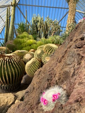 伊豆シャボテン動物公園に投稿された画像（2021/12/27）