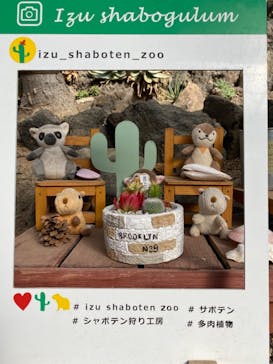 伊豆シャボテン動物公園に投稿された画像（2021/12/27）
