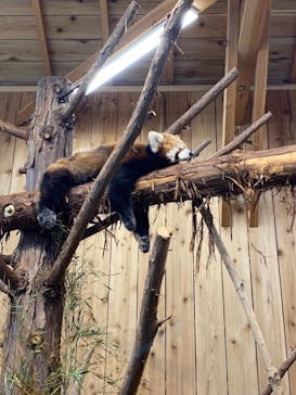 伊豆シャボテン動物公園に投稿された画像（2021/12/27）