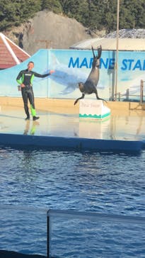 下田海中水族館に投稿された画像（2021/12/27）