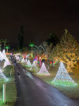 美らヤシパークオキナワ・東南植物楽園に投稿された画像（2021/12/27）