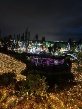 美らヤシパークオキナワ・東南植物楽園に投稿された画像（2021/12/27）