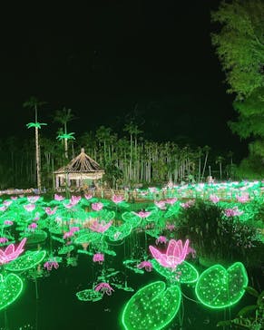 美らヤシパークオキナワ・東南植物楽園に投稿された画像（2021/12/27）