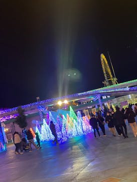 よみうりランド 遊園地に投稿された画像（2021/12/27）