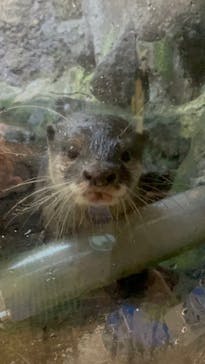 伊豆シャボテン動物公園に投稿された画像（2021/12/26）