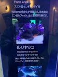 大分マリーンパレス水族館 「うみたまご」に投稿された画像（2021/12/27）