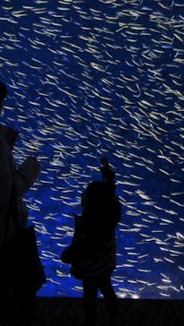 大分マリーンパレス水族館 「うみたまご」に投稿された画像（2021/12/27）