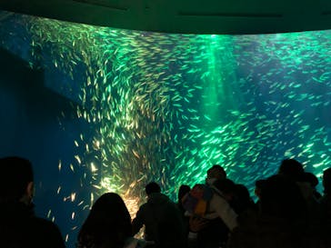 名古屋港水族館に投稿された画像（2021/12/27）